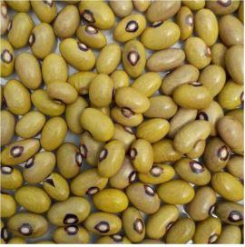 Yellow Beans 50kgs