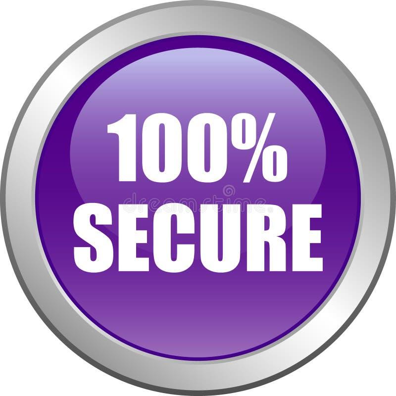 100% Secure Payment